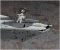 Hasegawa E43 – Fairchild A-10 C Thunderbolt II – Escala 1:72